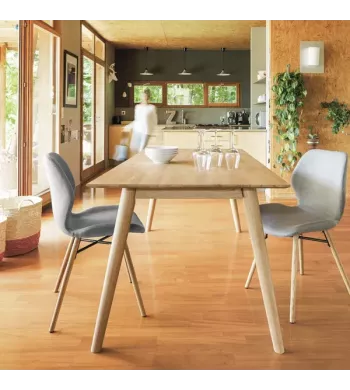 Meta title -  Table repas, allonge optionnelle